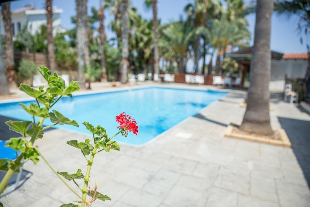 Periyiali Apartments Полис Екстериор снимка
